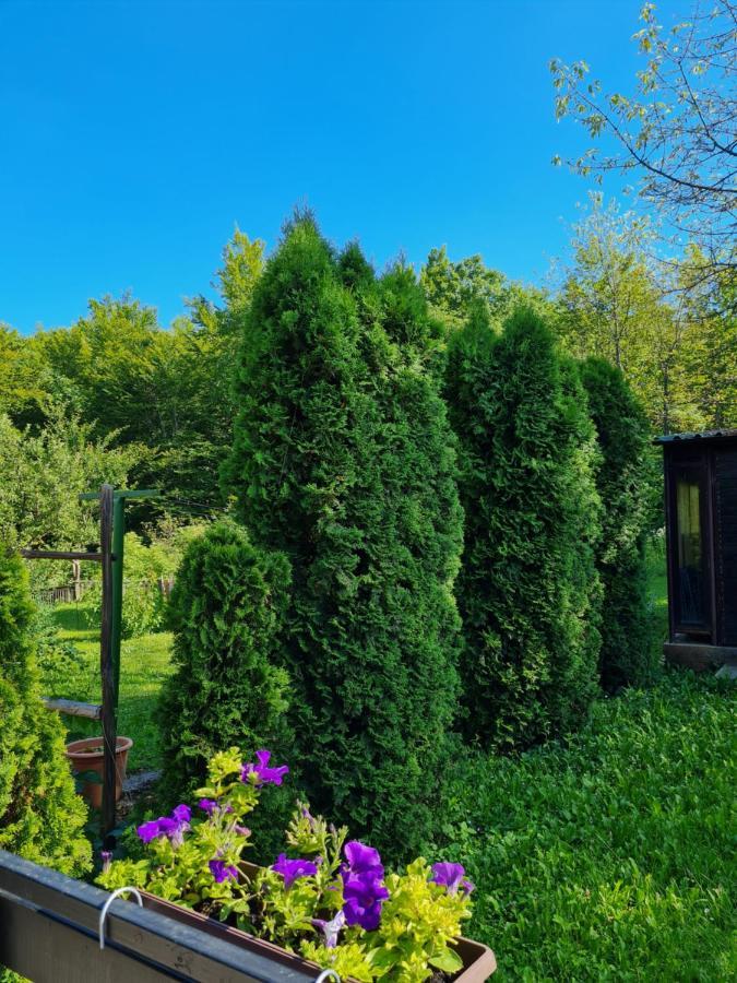 Kuca Za Odmor Hodak Plitvicka Jezera Exterior photo
